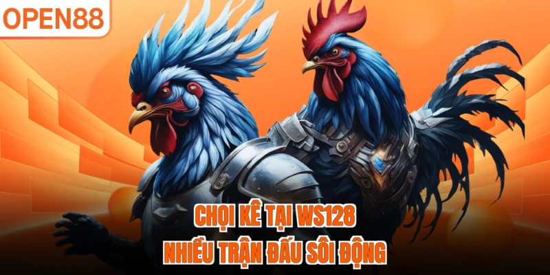 Chọi kê tại WS128 nhiều trận đấu sôi động