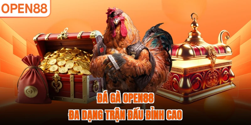 Đá gà OPEN88 đa dạng trận đấu đỉnh cao