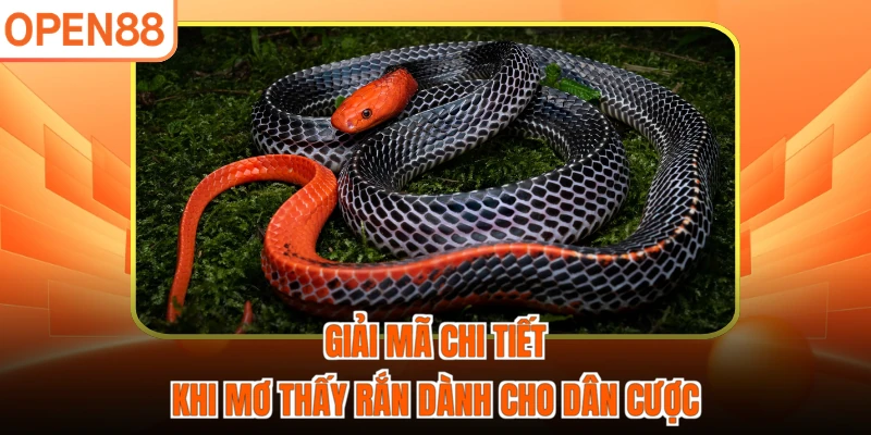 Giải mã chi tiết khi mơ thấy rắn dành cho dân cược