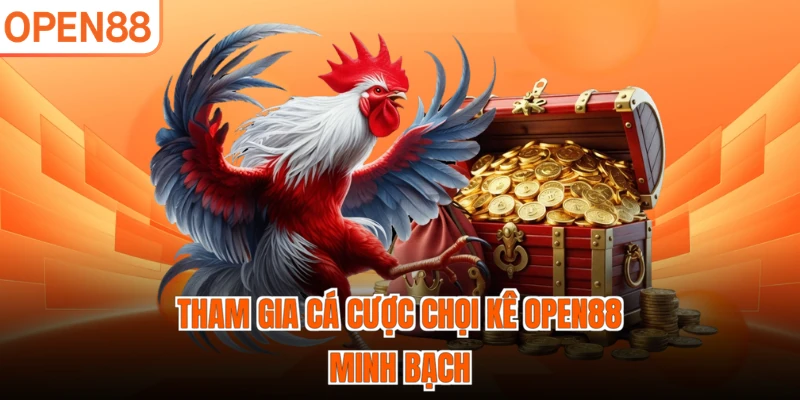 Tham gia cá cược chọi kê OPEN88 minh bạch
