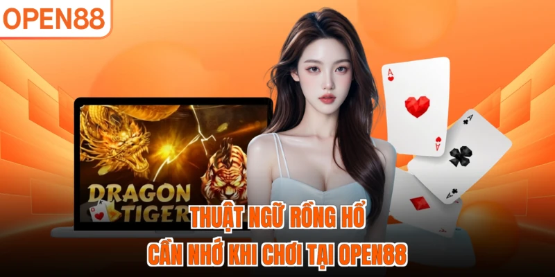 Thuật ngữ Rồng Hổ cần nhớ khi chơi tại OPEN88