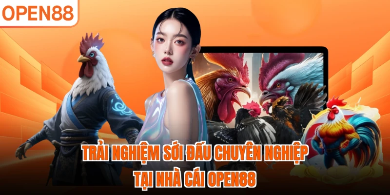 Trải nghiệm sới đấu chuyên nghiệp tại nhà cái OPEN88