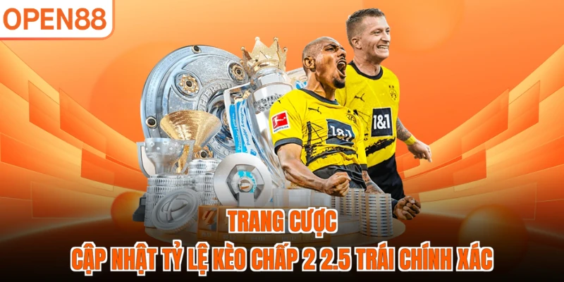 Trang cược cập nhật tỷ lệ kèo chấp 2 2.5 trái chính xác